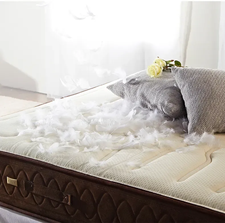 ecus益卡思【原装进口】双人席梦思弹簧床垫1.5m1.8米非乳胶椰棕