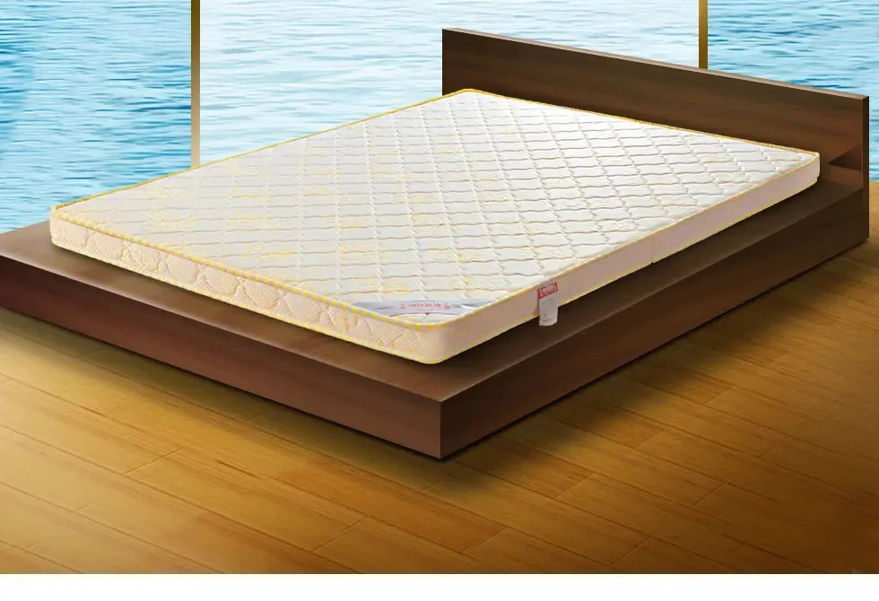 椰棕床垫棕垫 薄床垫 硬床垫子折叠可定制 单双人1.5 1.2米床垫