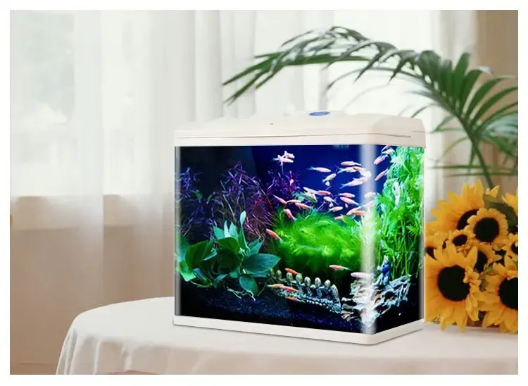 森森水族箱小型创意热带观赏桌面生态造景金鱼缸中型客厅玻璃鱼缸 hr