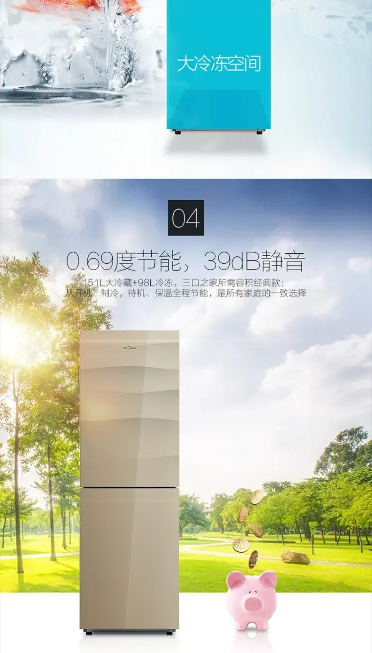 美的(midea) bcd-249wgm 249升 两门冰箱 风冷无霜 节能保鲜 格调金